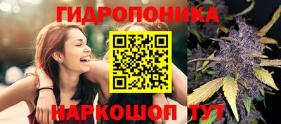 марки lsd Новозыбков