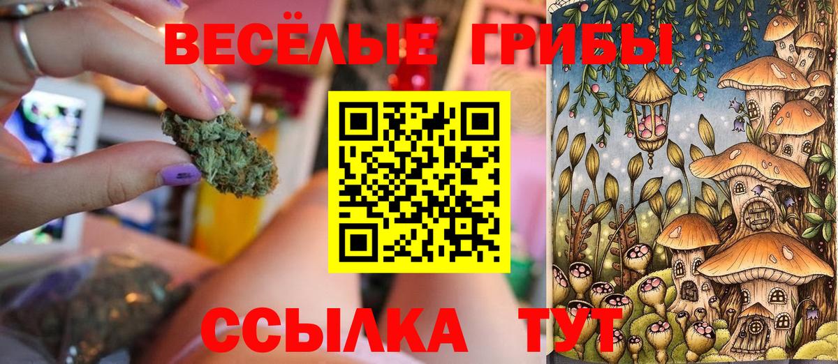 Галлюциногенные грибы Cubensis  Галлюциногенные грибы Magic Shrooms  Уварово  Вход с VPN 